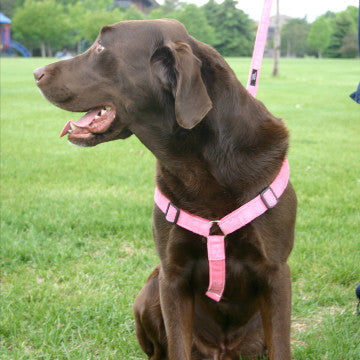 Hemp Dog Harness Pink Corduroy