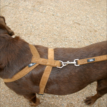 Hemp Dog Harness Bronze Corduroy