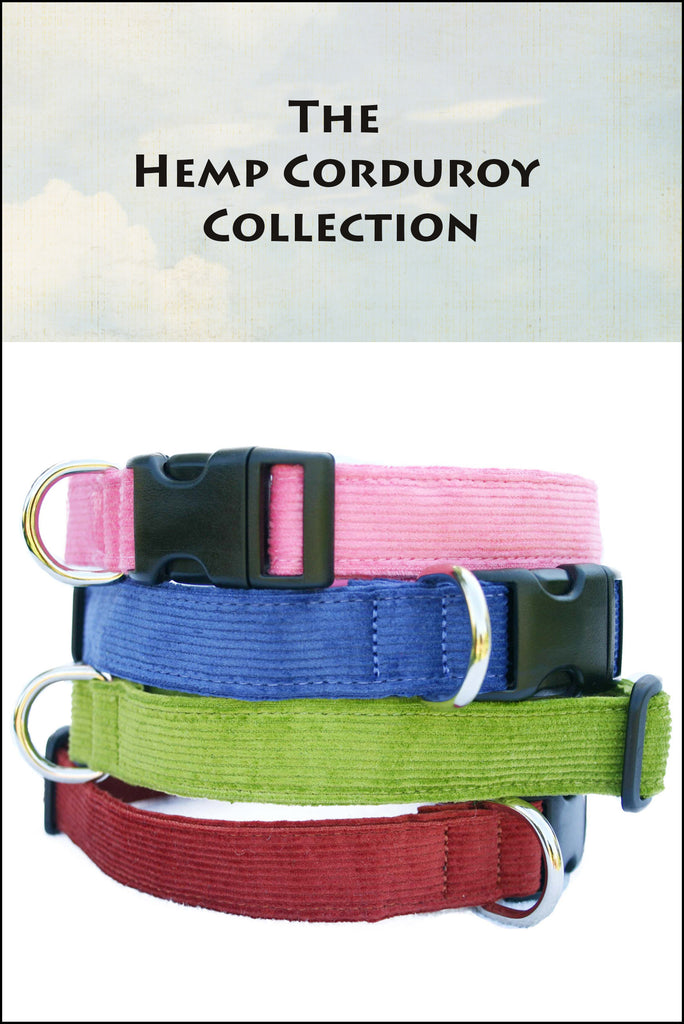 Pup Chanel Collar & Leash Set – The Good Dog Store