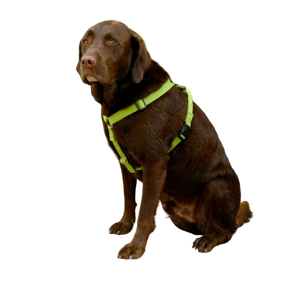 Hemp Basic Canvas Harness Avocado