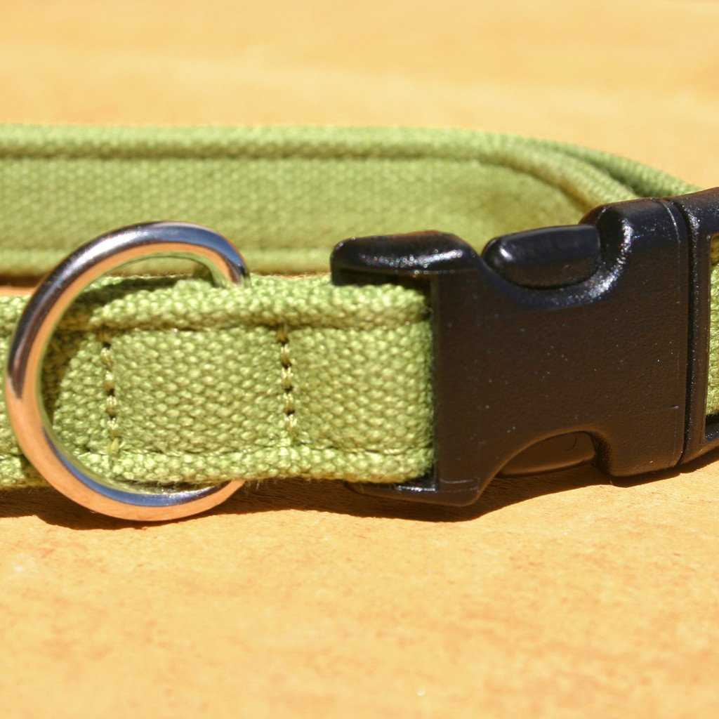 Hemp Dog Collar Green Basic