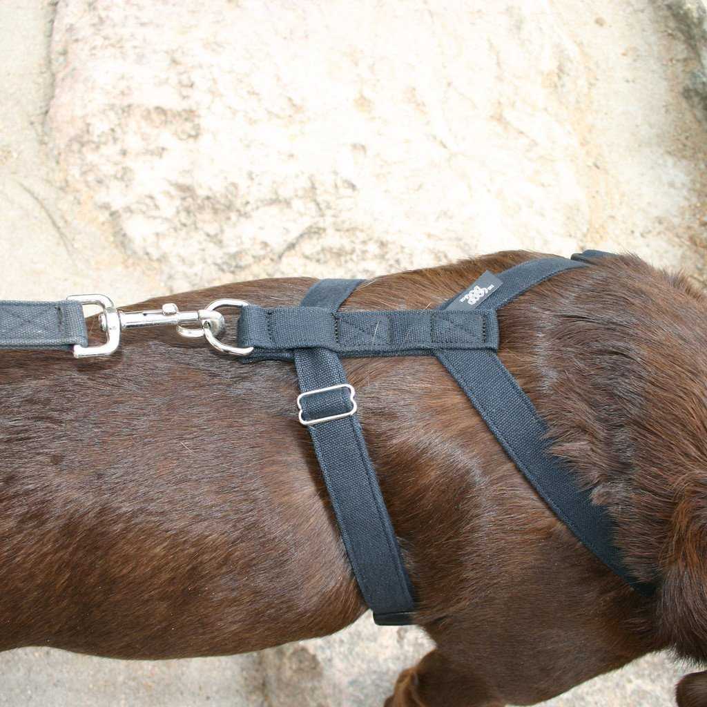 Hemp Black Canvas Harness