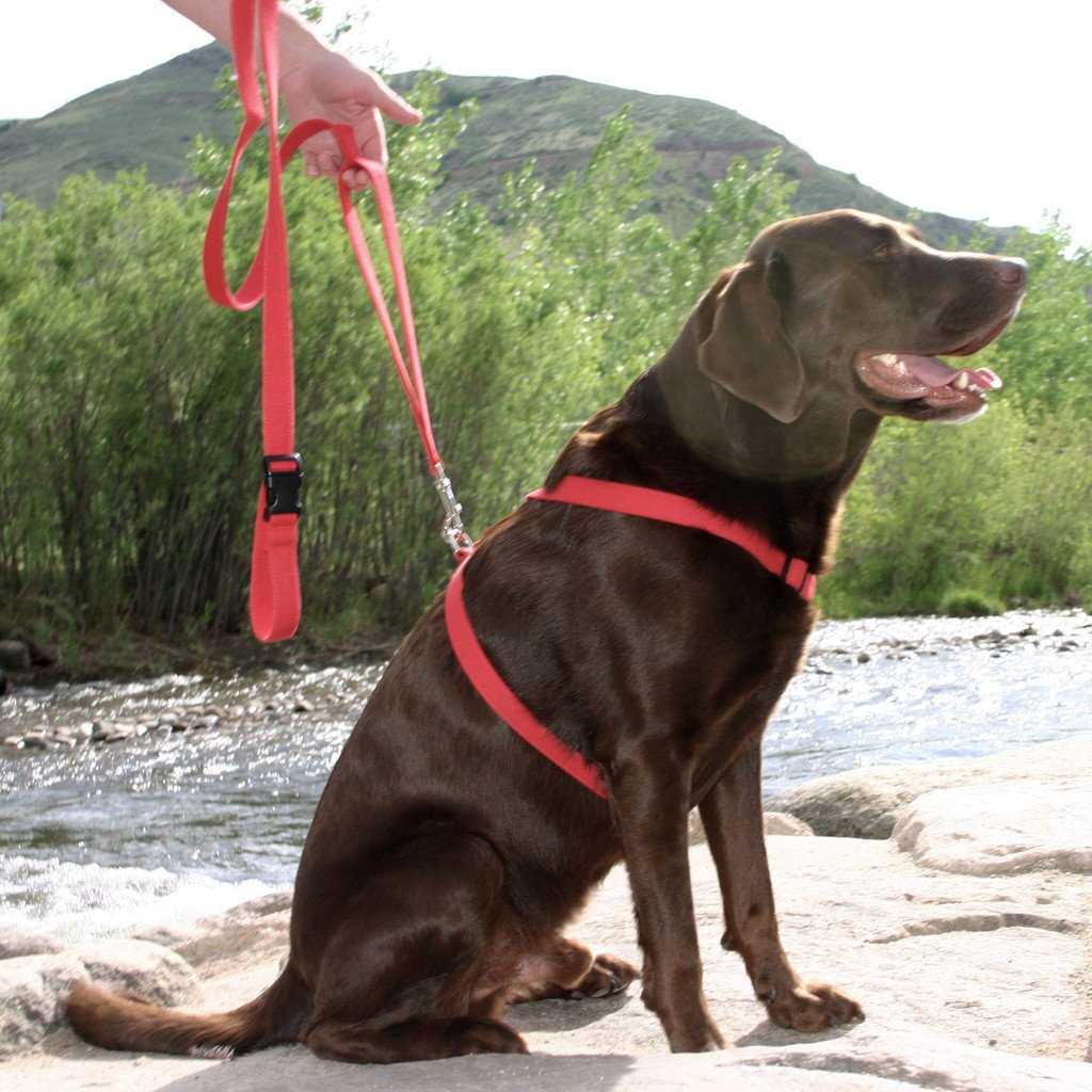 Hemp Basic Red Harness