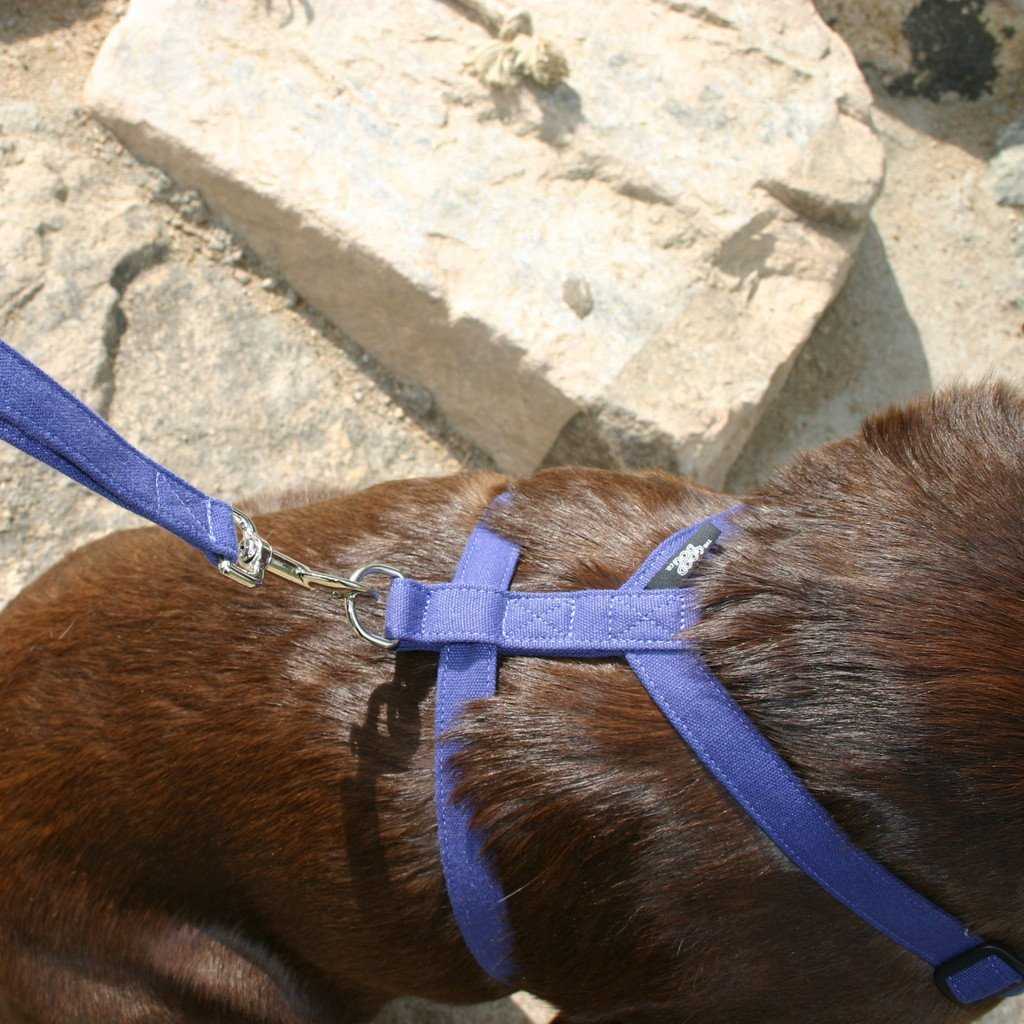  Basic Canvas Dog Harness Blue