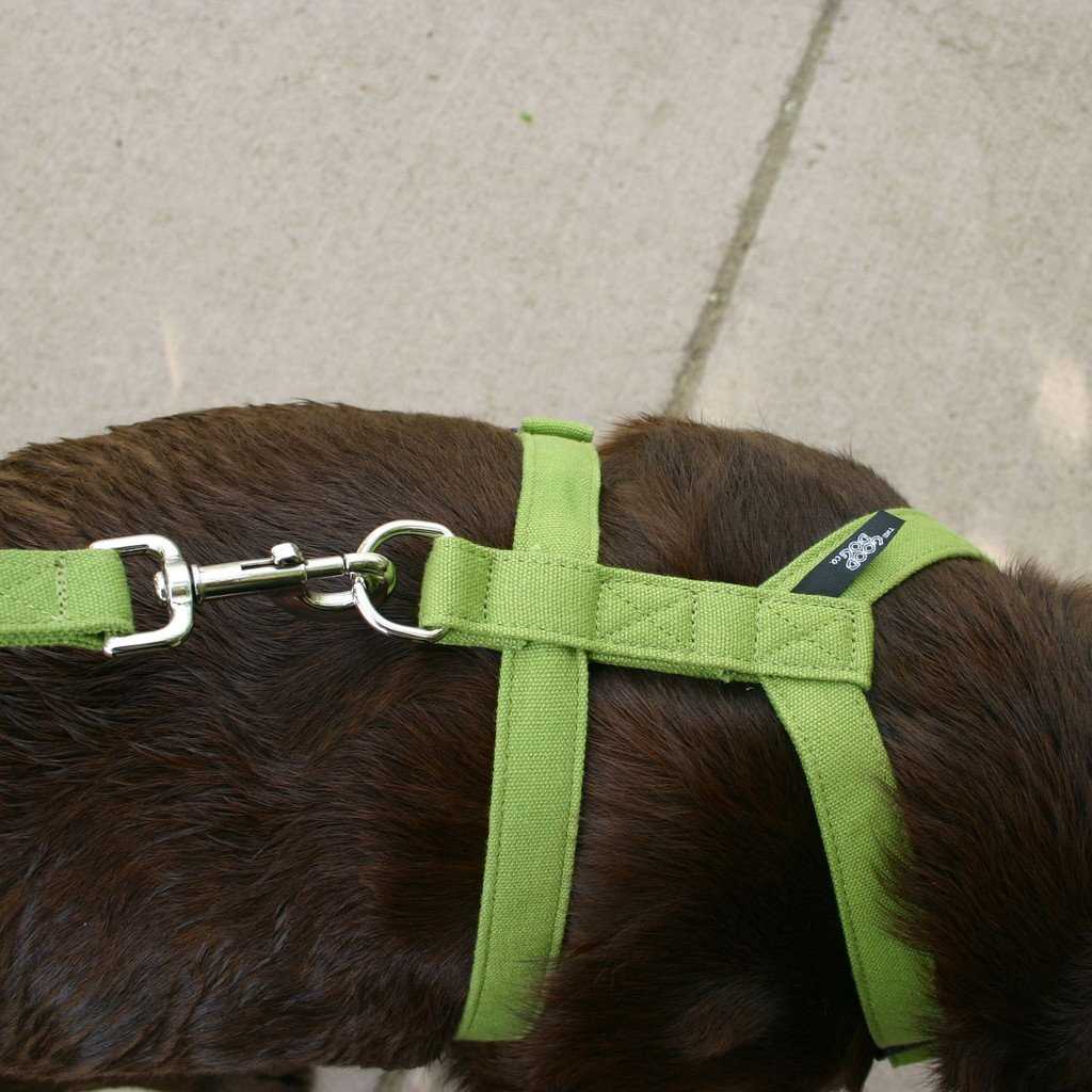 Hemp Basic Green Harness Closeup