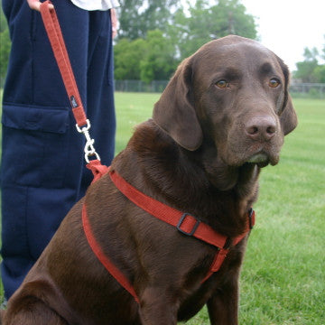 Hemp Dog Harness Rust Corduroy