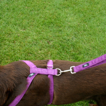 Hemp Dog Harness Plum Corduroy