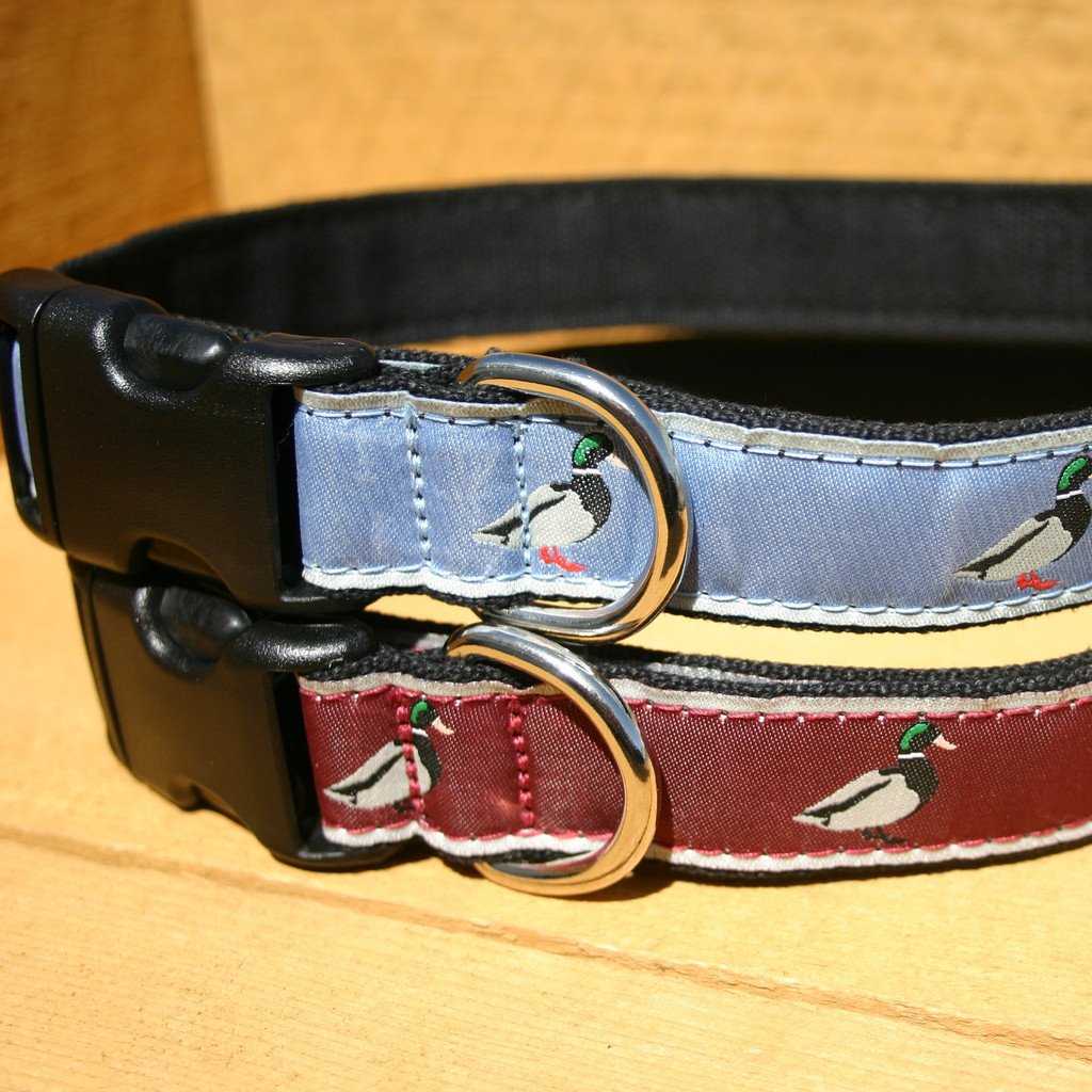 Hemp Dog Collar Conservation  Collection