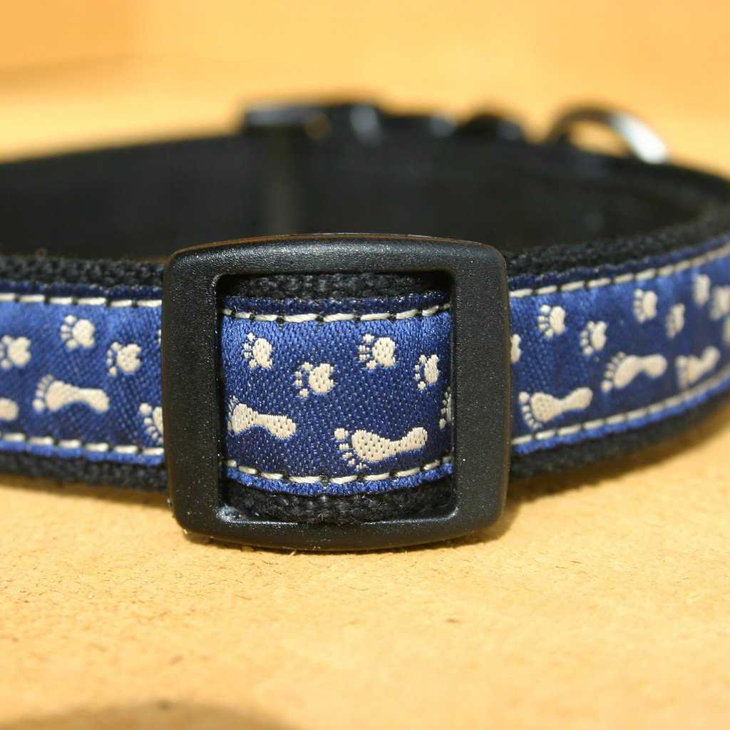 Hemp Dog Collar BFF Blue