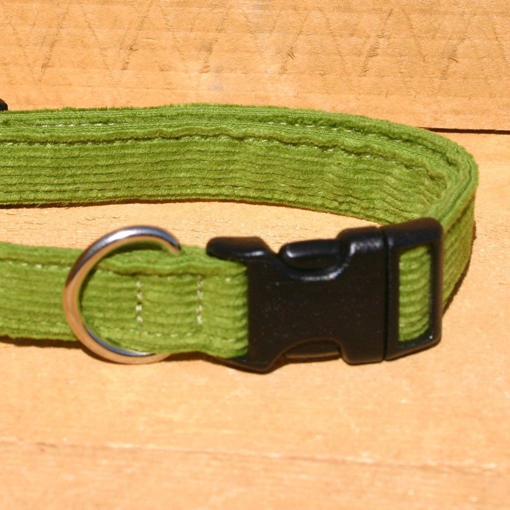 Avocado sales dog collar