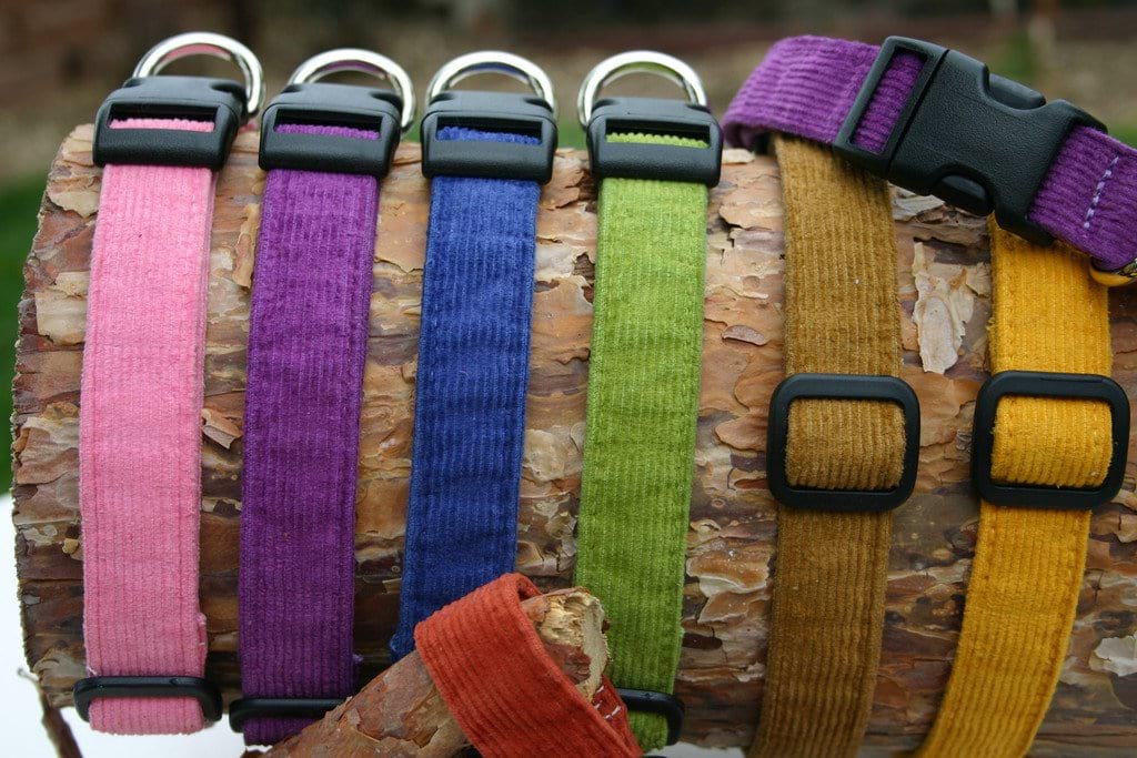 Hemp Dog Collar Corduroy Collection