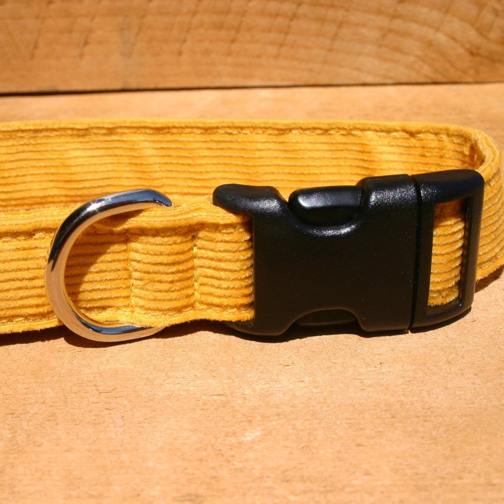 Hemp Dog Collar Marigold Corduroy