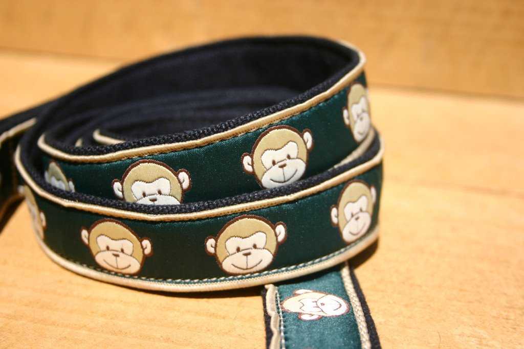 g Leash 6' Emerald Monkey ClickNGo