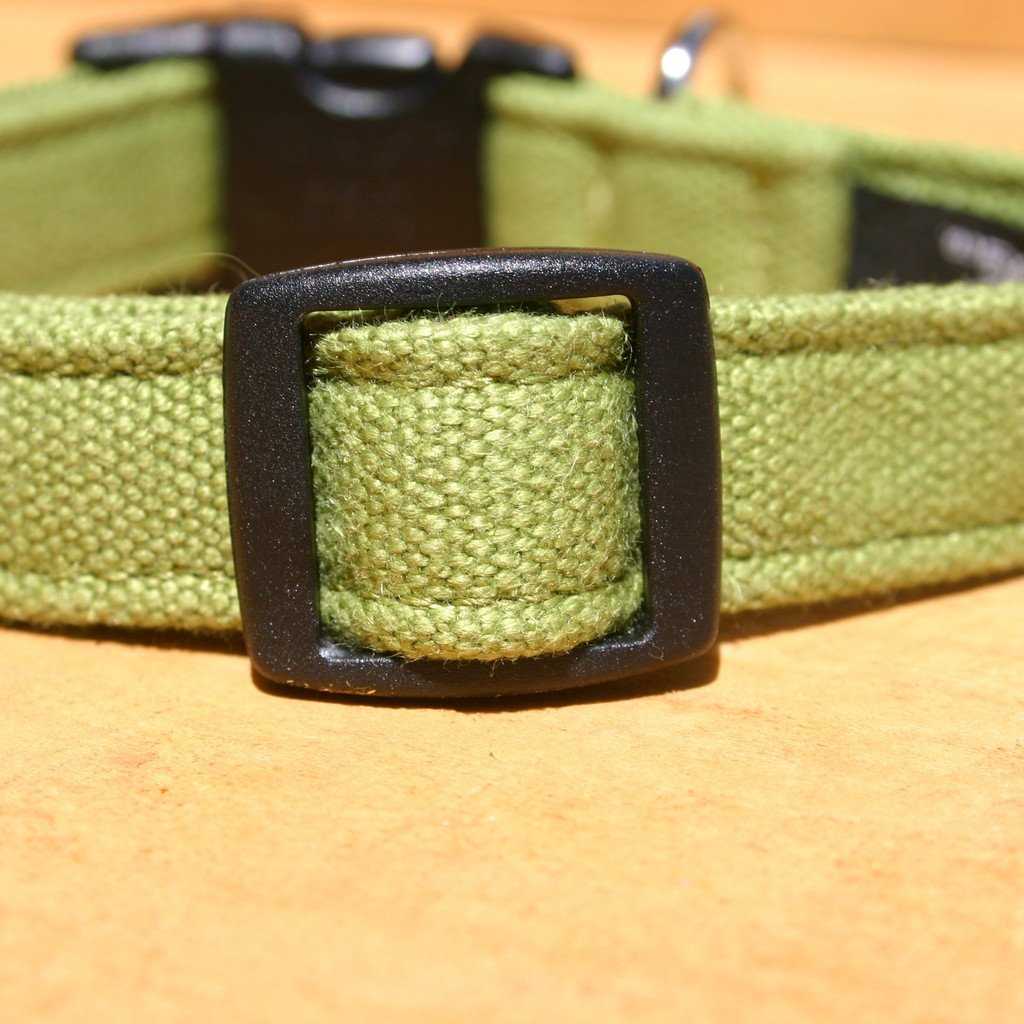 Hemp Dog Collar Green Basic