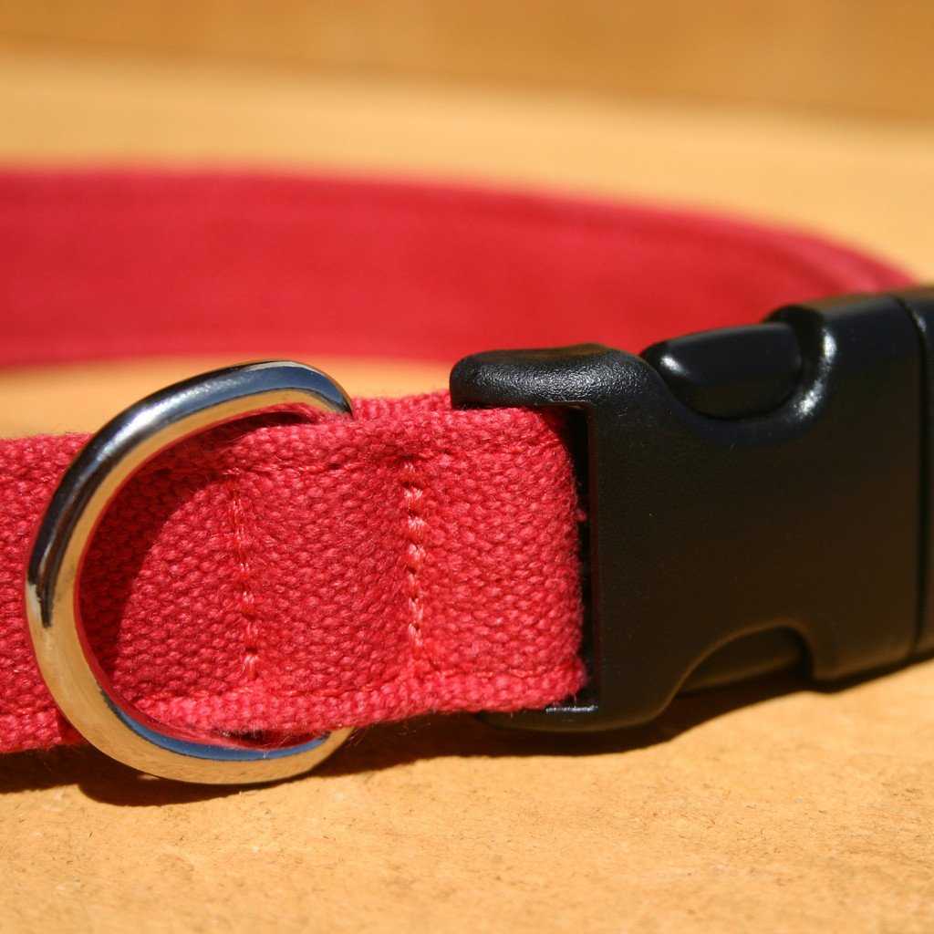 Hemp Dog Collar Red Basic